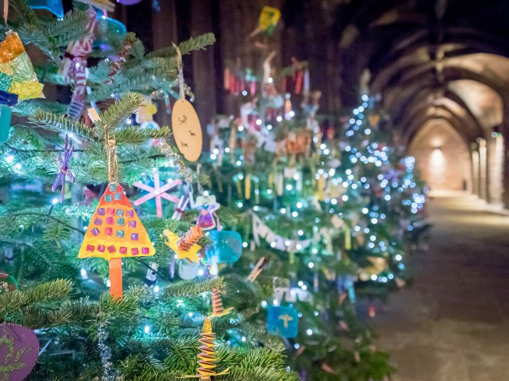 Christmas Trees on display at Chester Cathedral