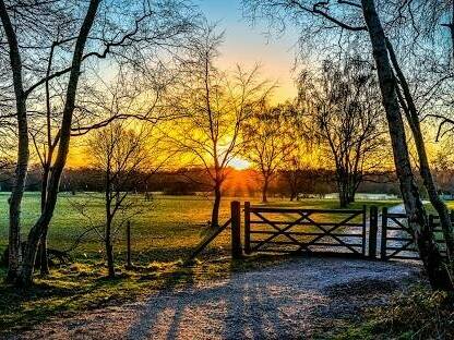 Marbury Country Park