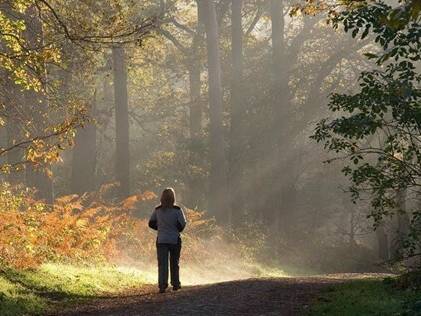 Sandstone Trail