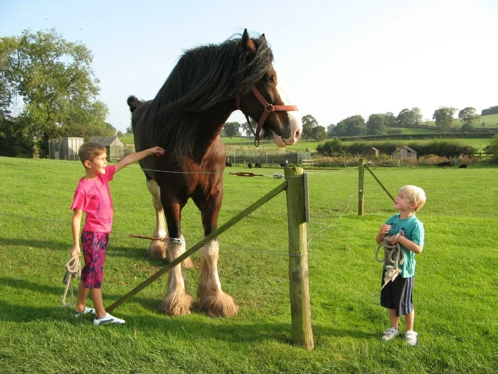 cotebrook things to do with the kids chester