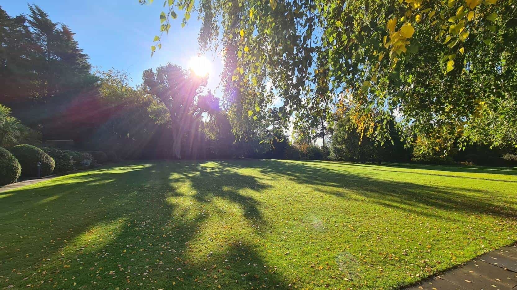 rowton grounds